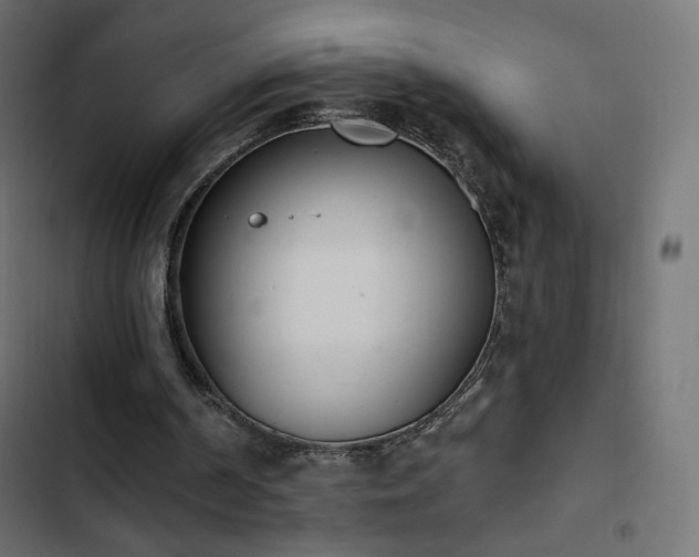 X0000103440194200809121411