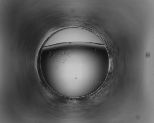X0000103440195200809121411