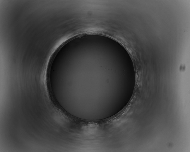 X0000103440196200809121411