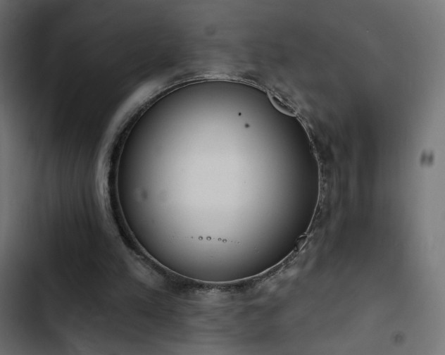 X0000103440197200809121411