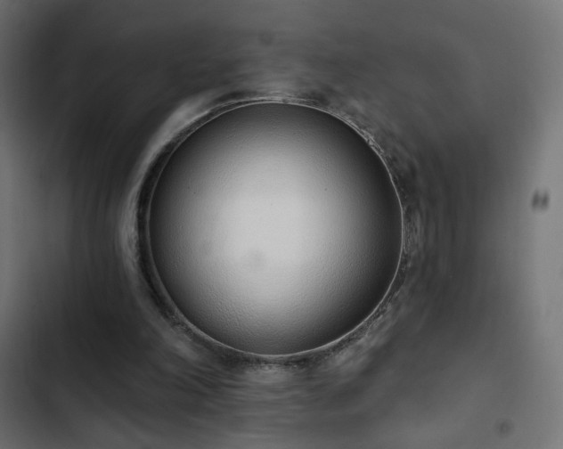 X0000103440198200809121411