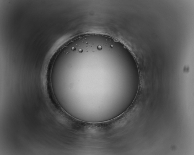 X0000103440199200809121411