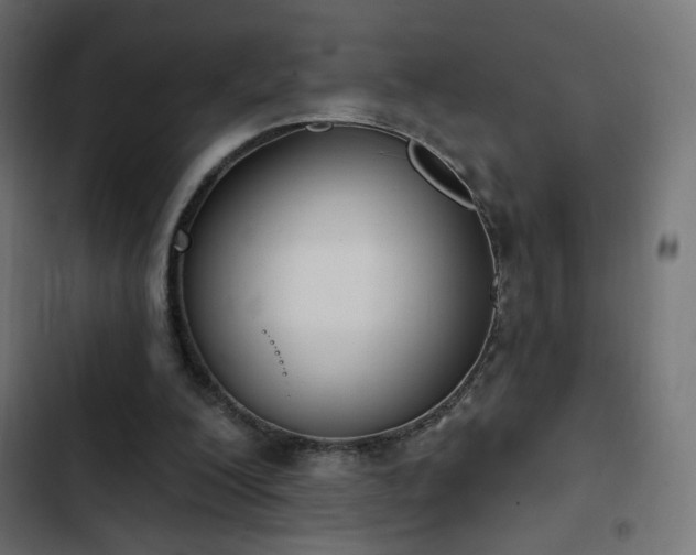 X0000103440200200809121411