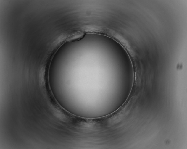 X0000103440201200809121411