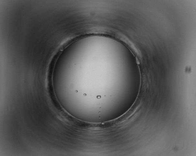 X0000103440203200809121411