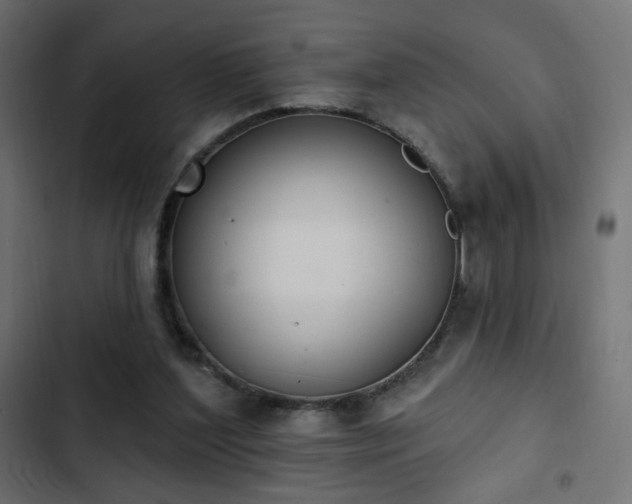 X0000103440204200809121411