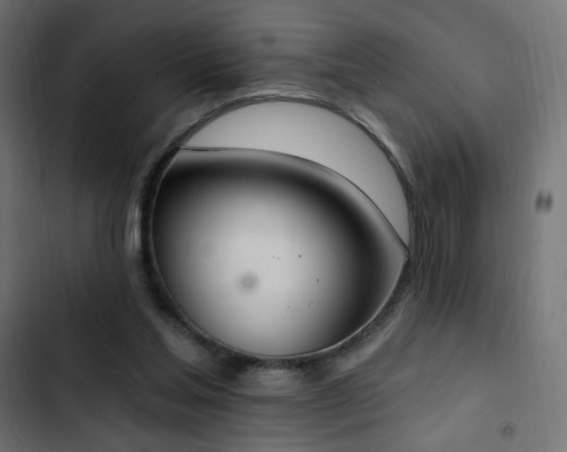 X0000103440205200809121411