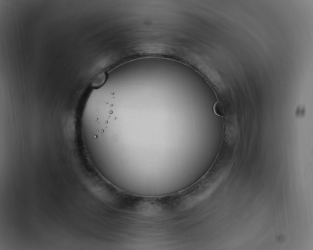 X0000103440207200809121411