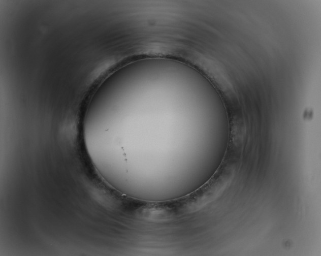 X0000103440208200809121411