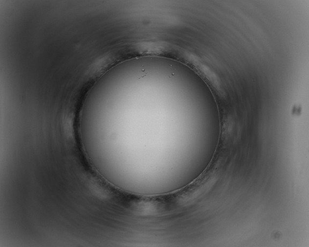 X0000103440209200809121411