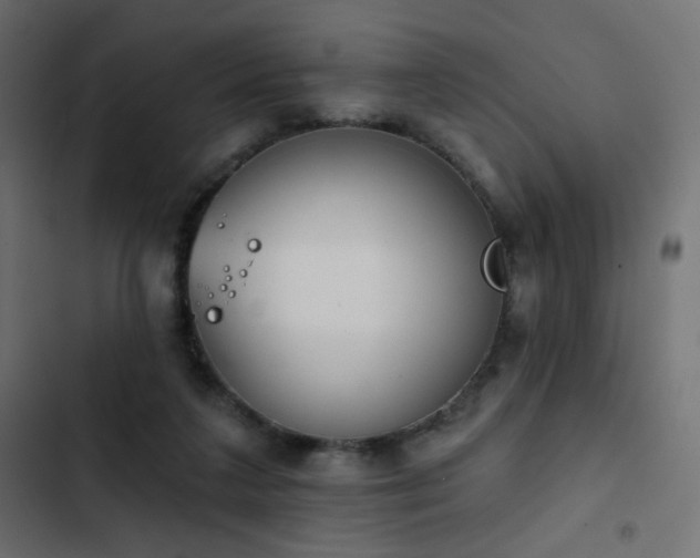 X0000103440211200809121411