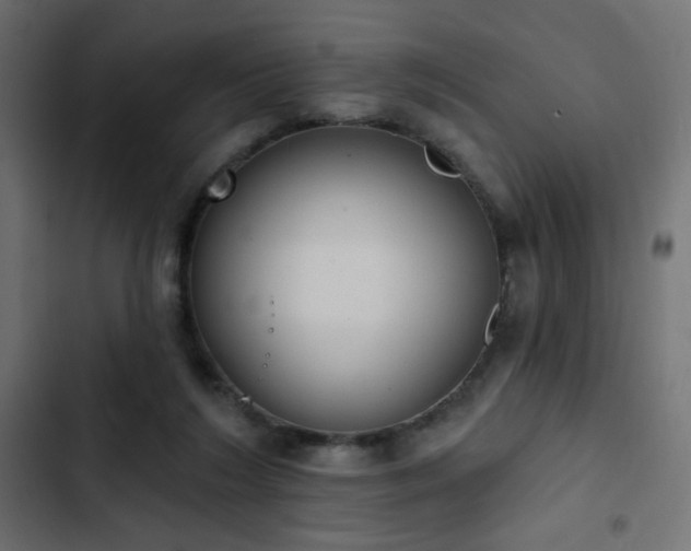 X0000103440212200809121411