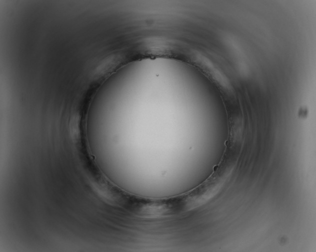 X0000103440213200809121411
