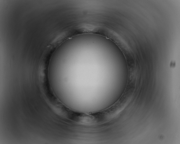 X0000103440215200809121411