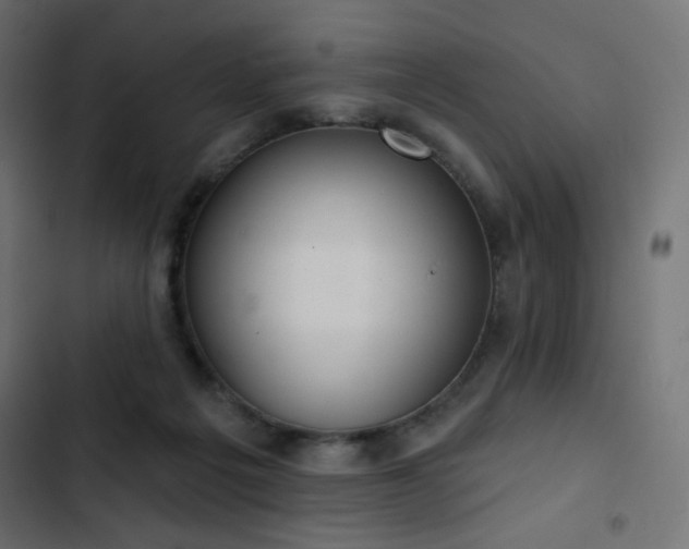 X0000103440217200809121411