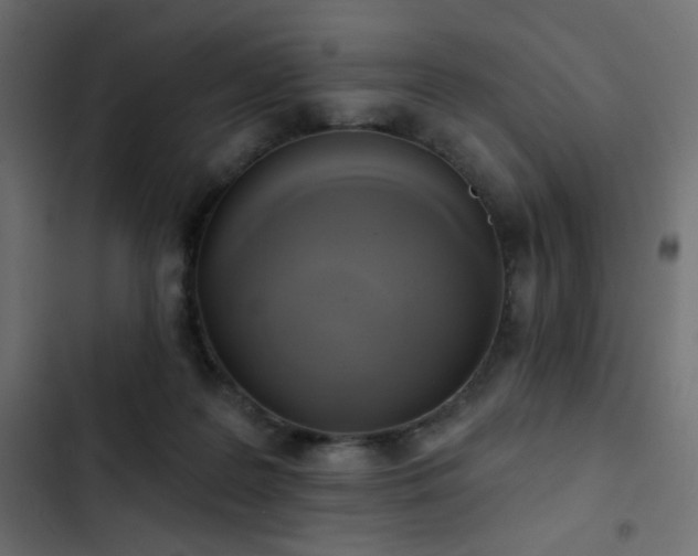 X0000103440219200809121411