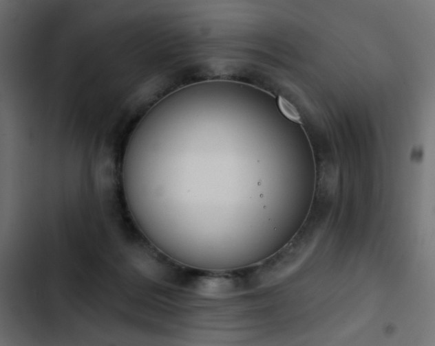 X0000103440220200809121411