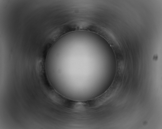 X0000103440222200809121411