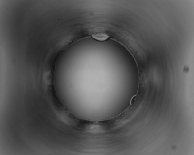 X0000103440224200809121411
