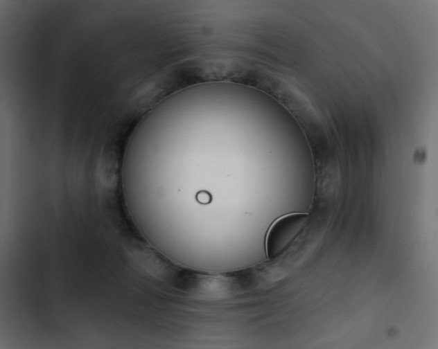 X0000103440226200809121411
