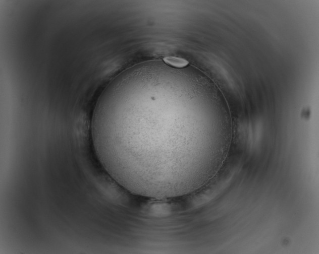 X0000103440228200809121411