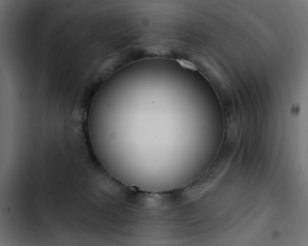 X0000103440229200809121411