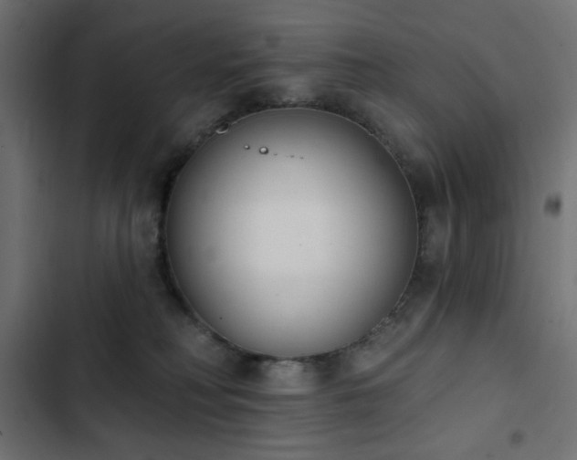 X0000103440230200809121411
