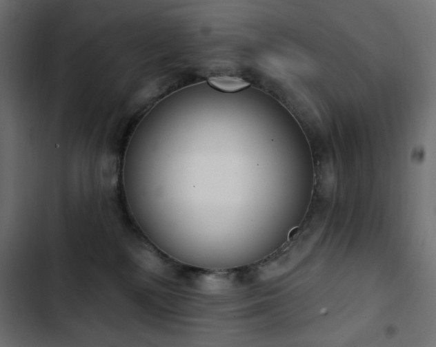 X0000103440232200809121411