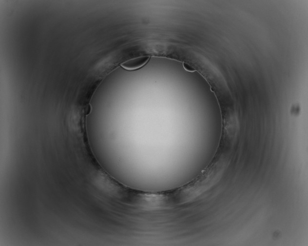 X0000103440233200809121411