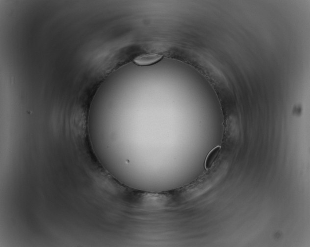 X0000103440234200809121411