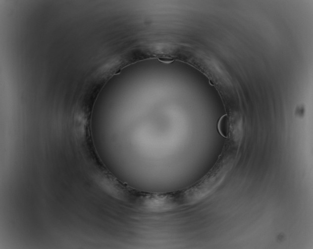 X0000103440235200809121411