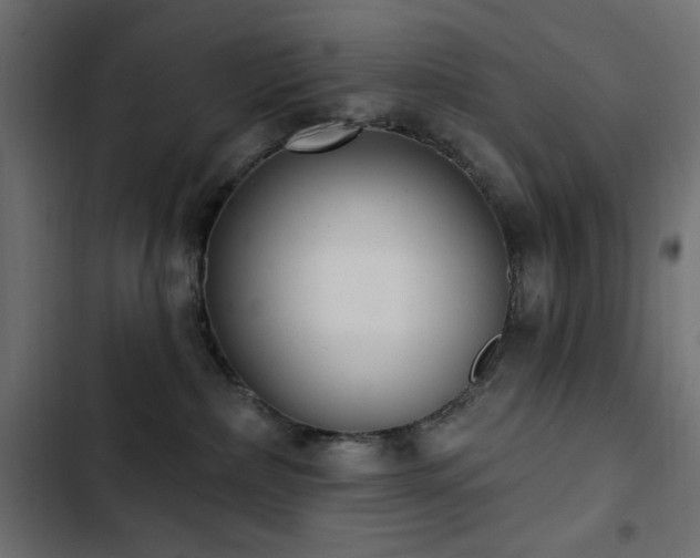 X0000103440236200809121411