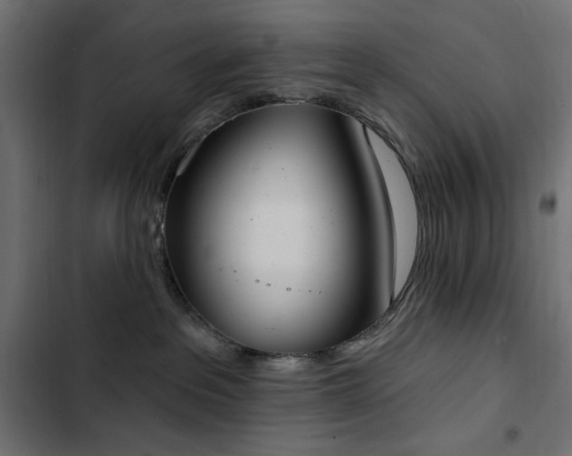 X0000103440237200809121411