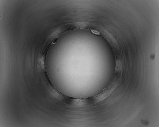 X0000103440238200809121411