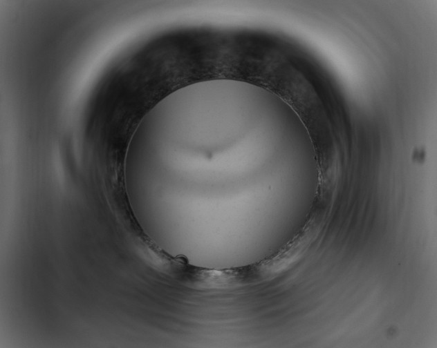 X0000103440239200809121411