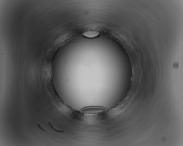 X0000103440240200809121411