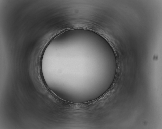 X0000103440241200809121410