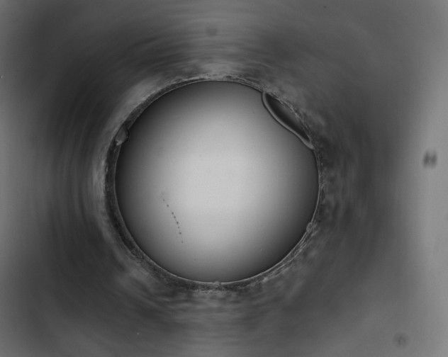 X0000103440242200809121410