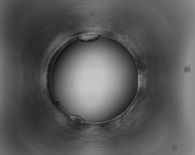 X0000103440243200809121410