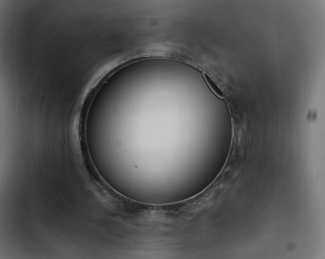 X0000103440244200809121410