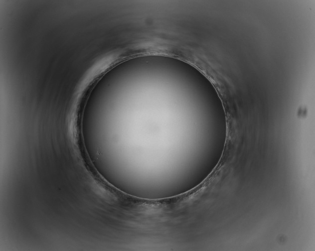 X0000103440245200809121410