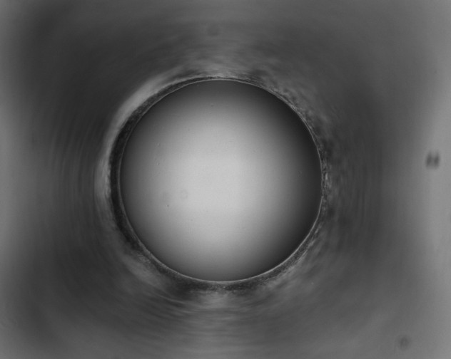 X0000103440246200809121410