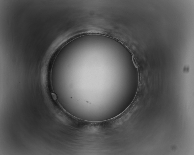 X0000103440247200809121410