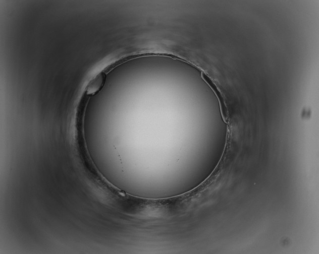 X0000103440248200809121410