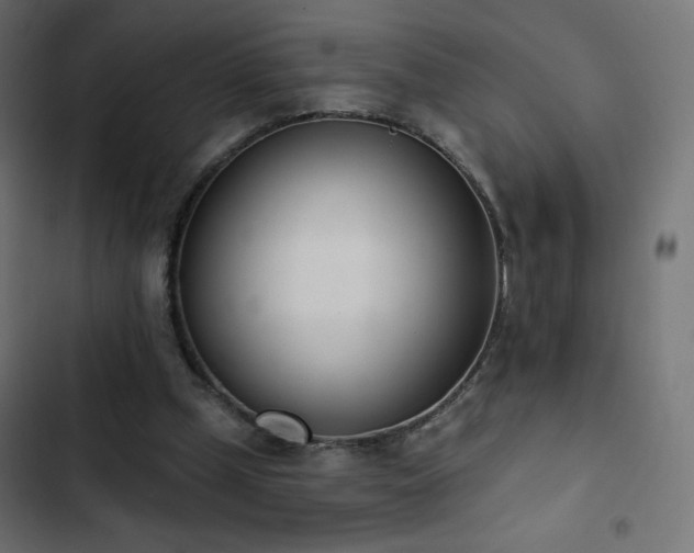 X0000103440249200809121410