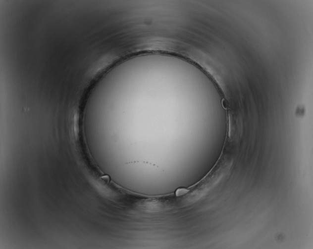X0000103440253200809121410