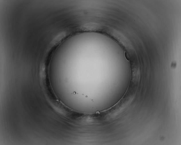 X0000103440254200809121410