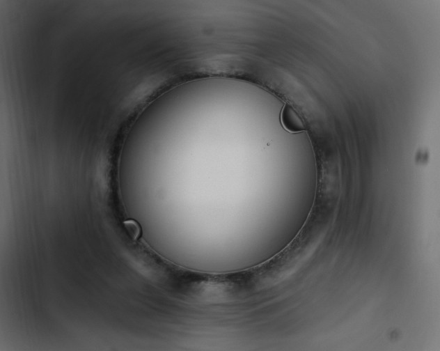 X0000103440255200809121410