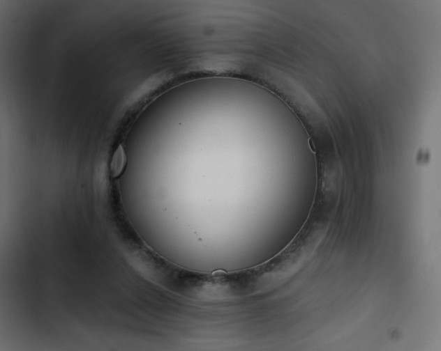 X0000103440256200809121410