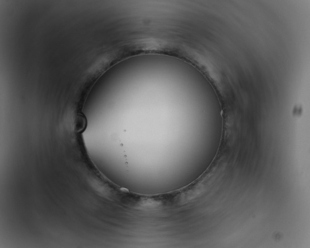 X0000103440257200809121410